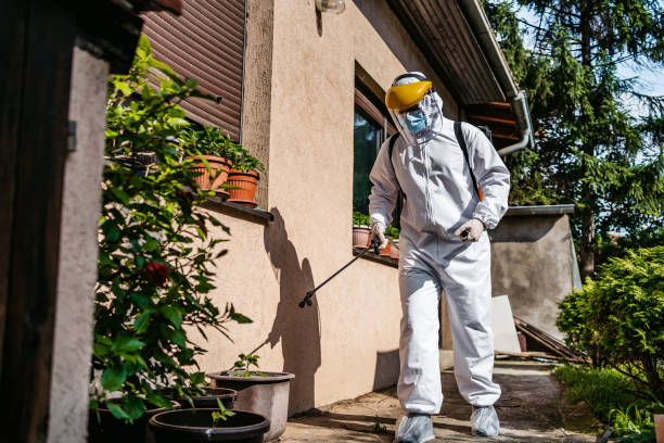 Best Best Pest Control Companies  in Monticello, NY