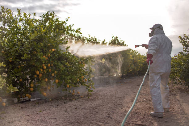 Best Pest Control Near Me in Monticello, NY